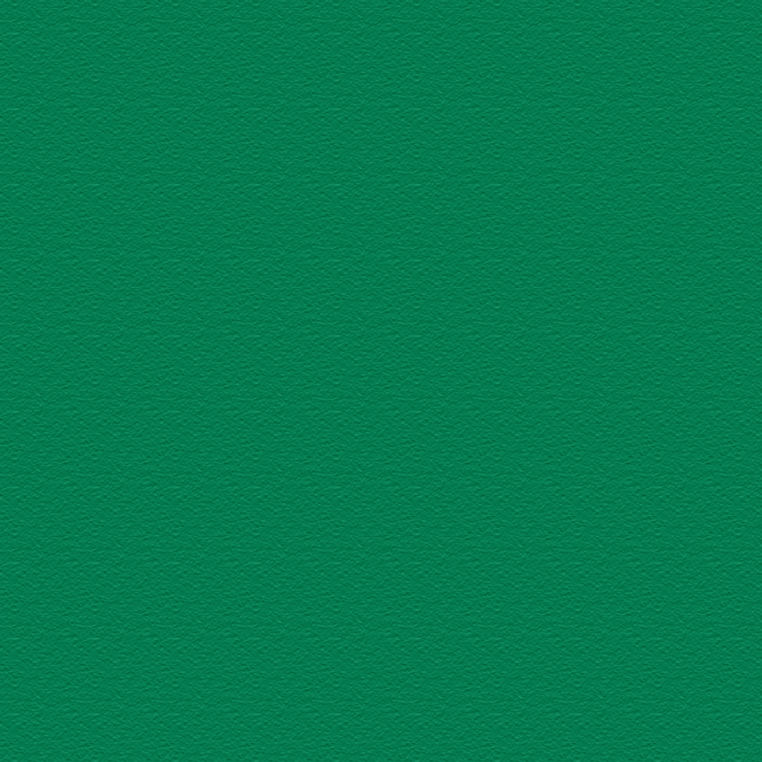iPad PRO 12.9" (2020) LUXURIA VERONESE Green Textured Skin